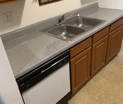 Kitchen counter with double sink, dishwasher, and wooden cabinets.