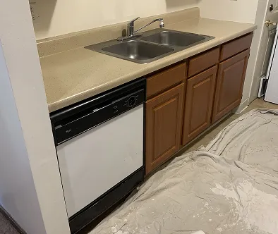Kitchen counter with double sink, dishwasher, and cabinets. Drop cloths cover the floor.